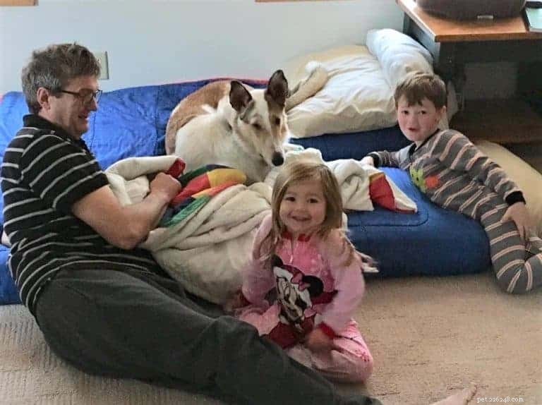 Tag the Smooth Collie: Spokesdog, Local Legend, and His Distinctive Merle Coat
