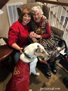 Tag the Smooth Collie: Spokesdog, Local Legend, and His Distinctive Merle Coat