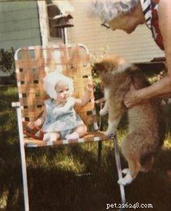 Tag the Smooth Collie: Spokesdog, Local Legend, and His Distinctive Merle Coat