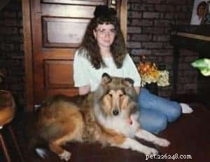Tag the Smooth Collie: Spokesdog, Local Legend, and His Distinctive Merle Coat