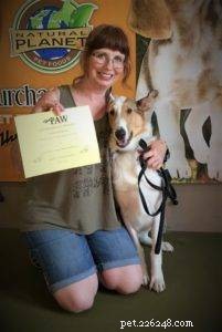 Tag the Smooth Collie: Spokesdog, Local Legend, and His Distinctive Merle Coat