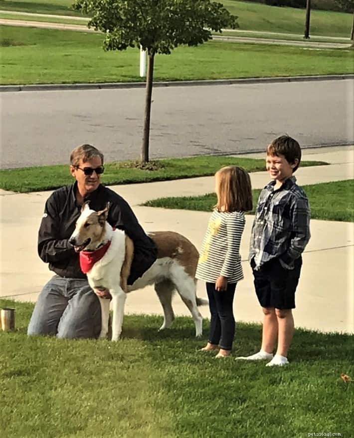 Tag the Smooth Collie: Spokesdog, Local Legend, and His Distinctive Merle Coat