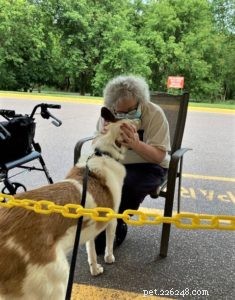 Tag the Smooth Collie: Spokesdog, Local Legend, and His Distinctive Merle Coat