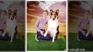 Sassy Lassie: The Remarkable Rough Collie Guide Dog