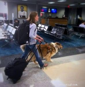 Sassy Lassie: The Remarkable Rough Collie Guide Dog