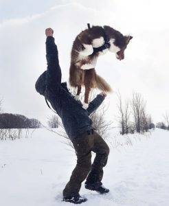 Key Factors to Evaluate Before Adopting a Border Collie