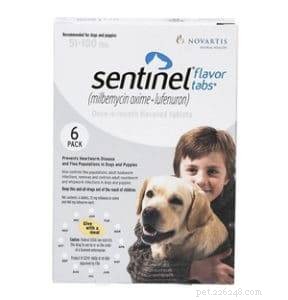 Safe Parasite Protection for Dogs with MDR1 Gene: Trusted Guide