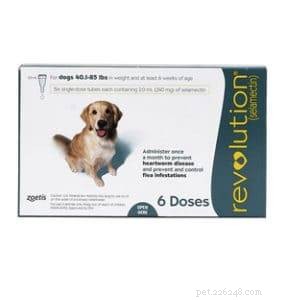 Safe Parasite Protection for Dogs with MDR1 Gene: Trusted Guide