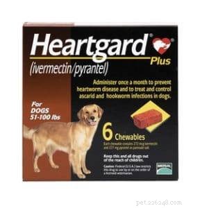 Safe Parasite Protection for Dogs with MDR1 Gene: Trusted Guide