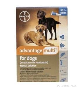 Safe Parasite Protection for Dogs with MDR1 Gene: Trusted Guide