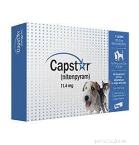 Safe Parasite Protection for Dogs with MDR1 Gene: Trusted Guide