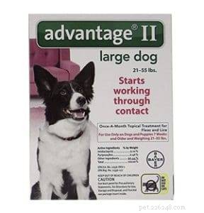 Safe Parasite Protection for Dogs with MDR1 Gene: Trusted Guide