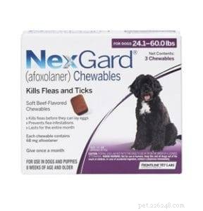 Safe Parasite Protection for Dogs with MDR1 Gene: Trusted Guide