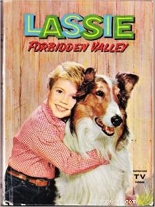 Gustav, the Rough Collie Who Draws Crowds