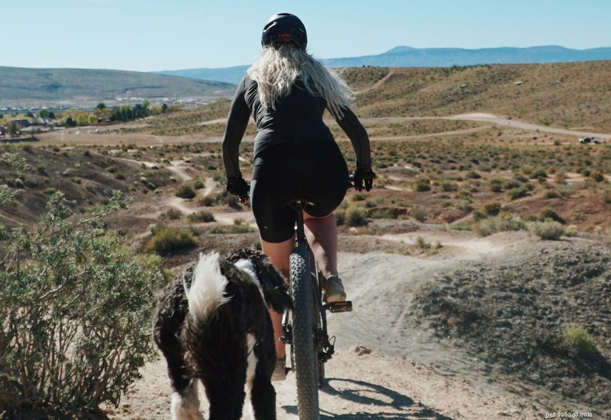 How to Cycle Safely with Your Dog: Expert Tips & Best Practices