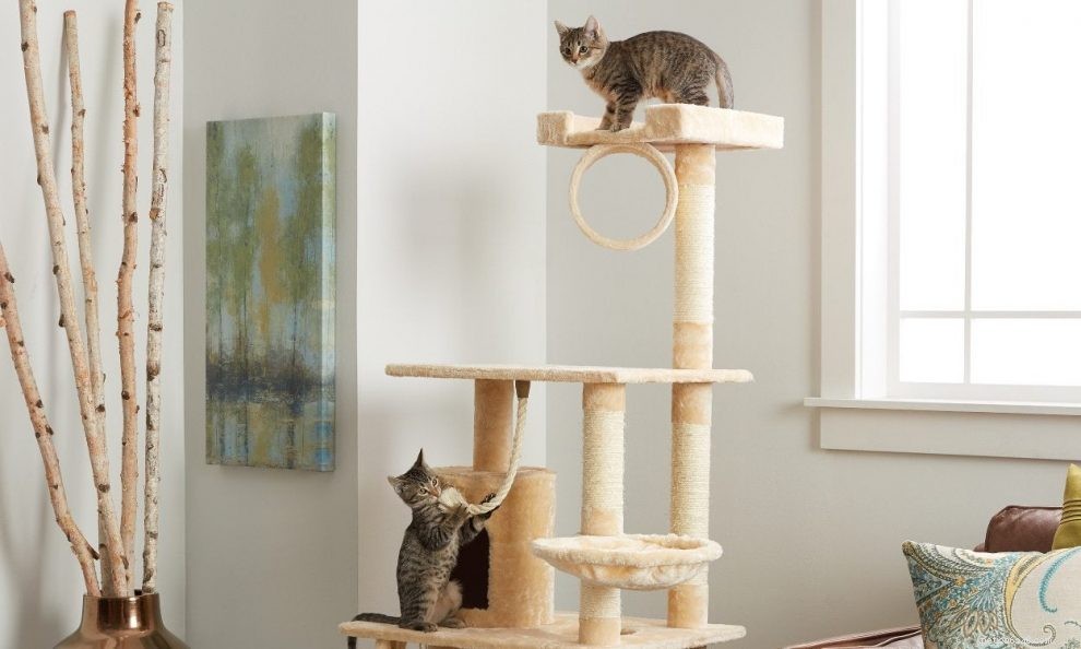 The Ultimate Guide to Choosing the Best Cat Scratching Post