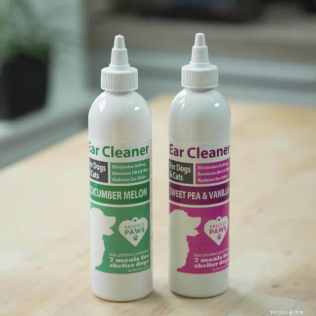 Top 10 Essential Grooming Products for Healthy Cats