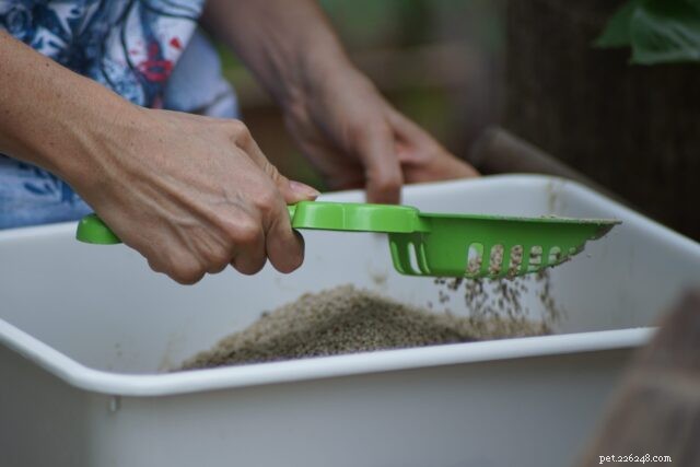 Why Do Cats Pee Outside the Litter Box? Expert Insights & Solutions