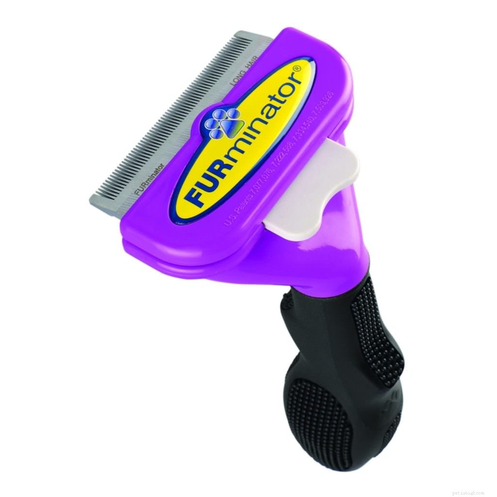 Top 9 Essential Cat Grooming Tools for a Healthy, Happy Pet