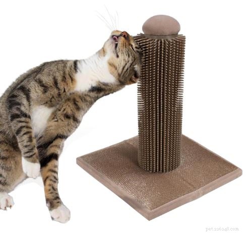 Top 9 Essential Cat Grooming Tools for a Healthy, Happy Pet