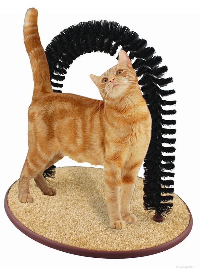 Top 9 Essential Cat Grooming Tools for a Healthy, Happy Pet