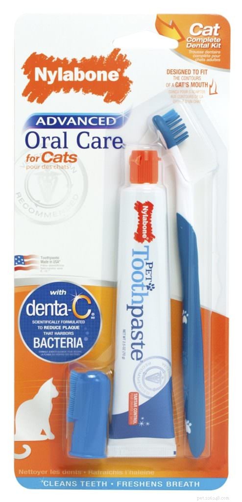 Top 9 Essential Cat Grooming Tools for a Healthy, Happy Pet