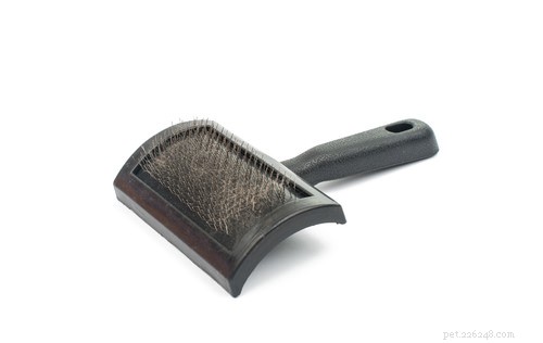 Choosing the Right Cat Brush: A Professional Guide to Grooming Your Feline