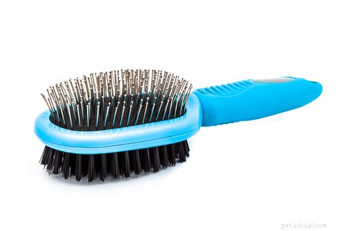Choosing the Right Cat Brush: A Professional Guide to Grooming Your Feline