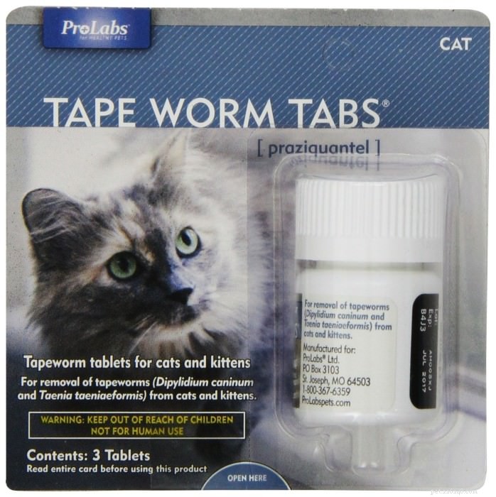 10 Proven Tips for a Healthier Skin and Lush Coat in Your Cat