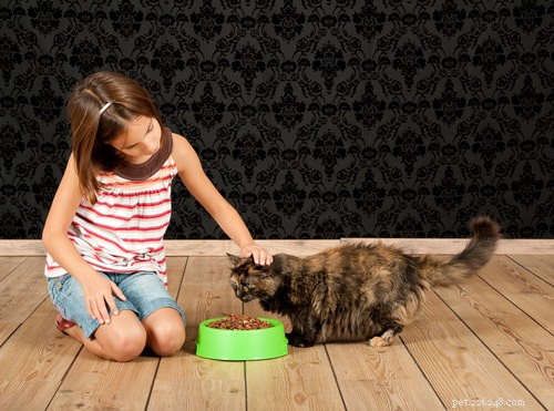 10 Early Warning Signs of Feline Kidney Disease