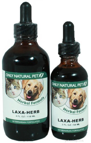 Hairball Awareness Day: Natural Remedies to Prevent Cat Hairballs
