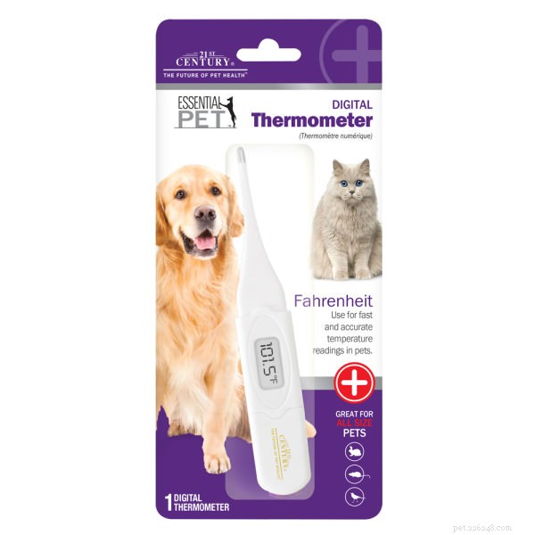 5 Clear Signs Your Cat Is Experiencing Heat Stroke