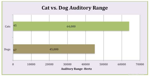 Study Reveals Common Noises That May Trigger Seizures in Cats
