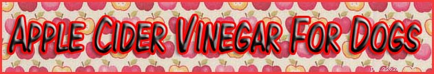 Apple Cider Vinegar: Proven Benefits for Your Dog’s Health