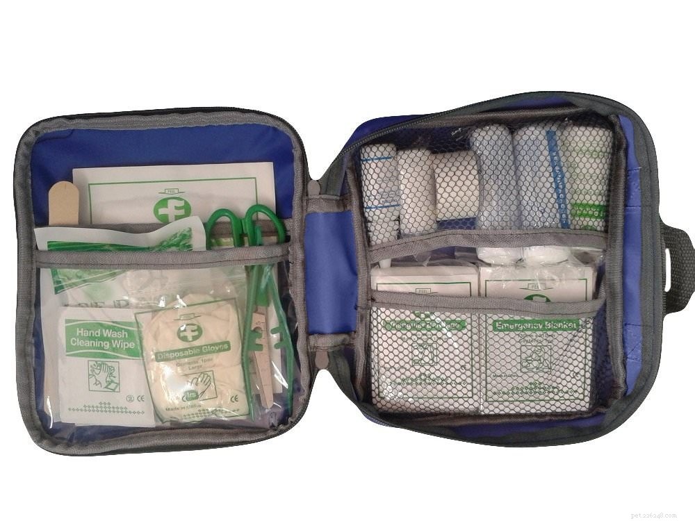 National Disaster Preparedness Month: 6 Essential Steps to Protect Your Home, Family, and Pets