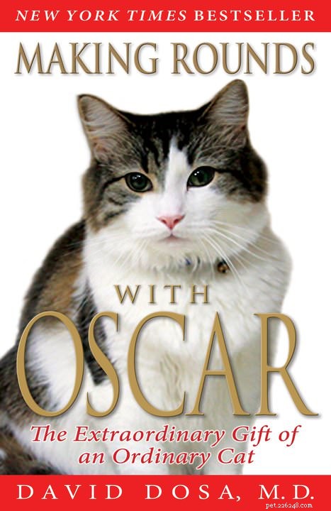 Top 5 Jobs Where Cats Excel