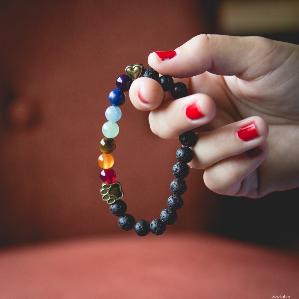 Coping With the Loss of Your Beloved Cat: Compassionate Ways to Heal