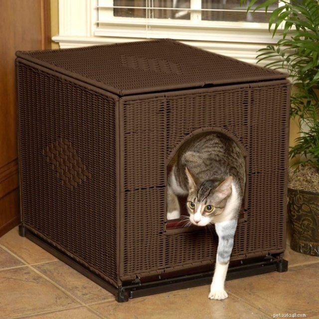 9 Expert Tips to Stop Your Cat from Peeing Outside the Litter Box