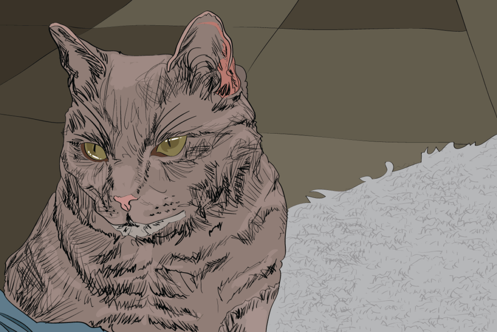 7 Clear Signals Your Cat Uses to Communicate