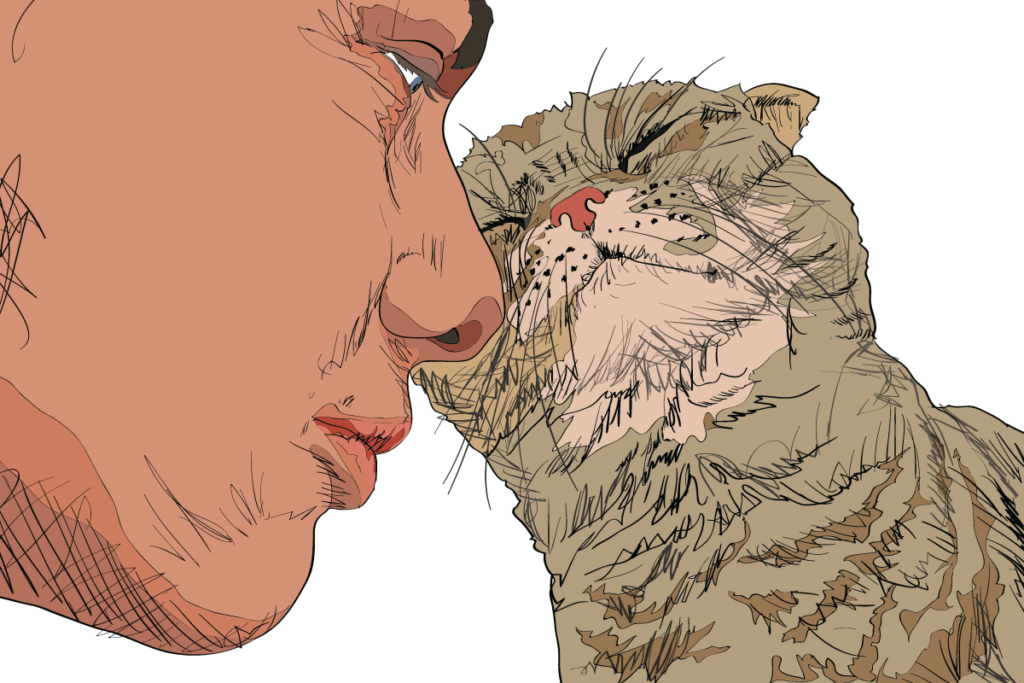 7 Clear Signals Your Cat Uses to Communicate