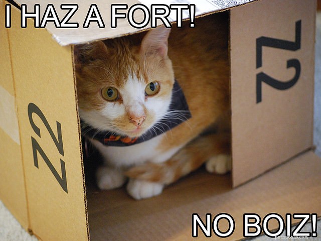 12 Proven Strategies to Keep Your Cat Happy and Healthy