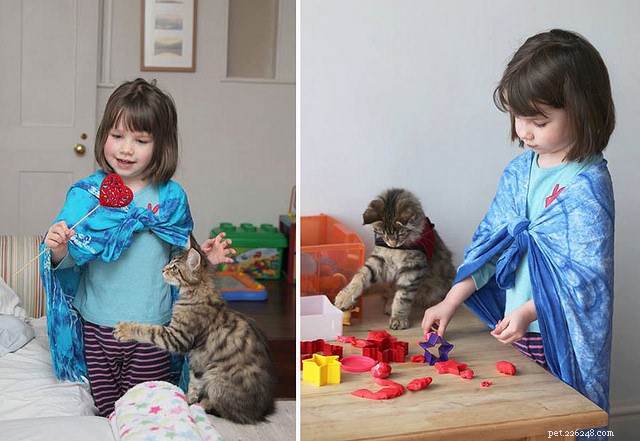 Are Cats Effective Therapy Animals? Discover Their Healing Benefits