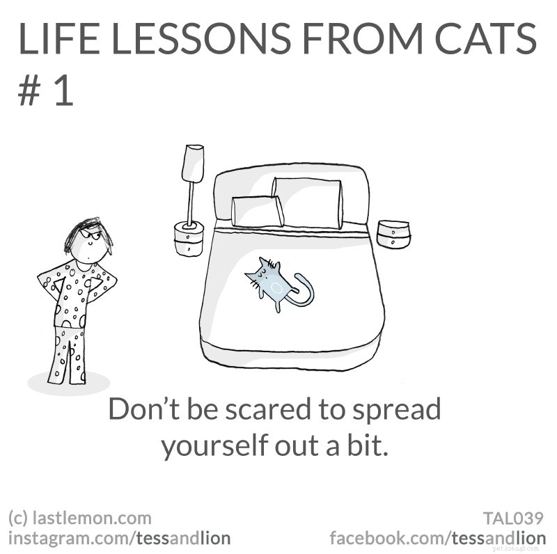 21 Endearing Cat-Inspired Life Lessons From NYT Bestsellers