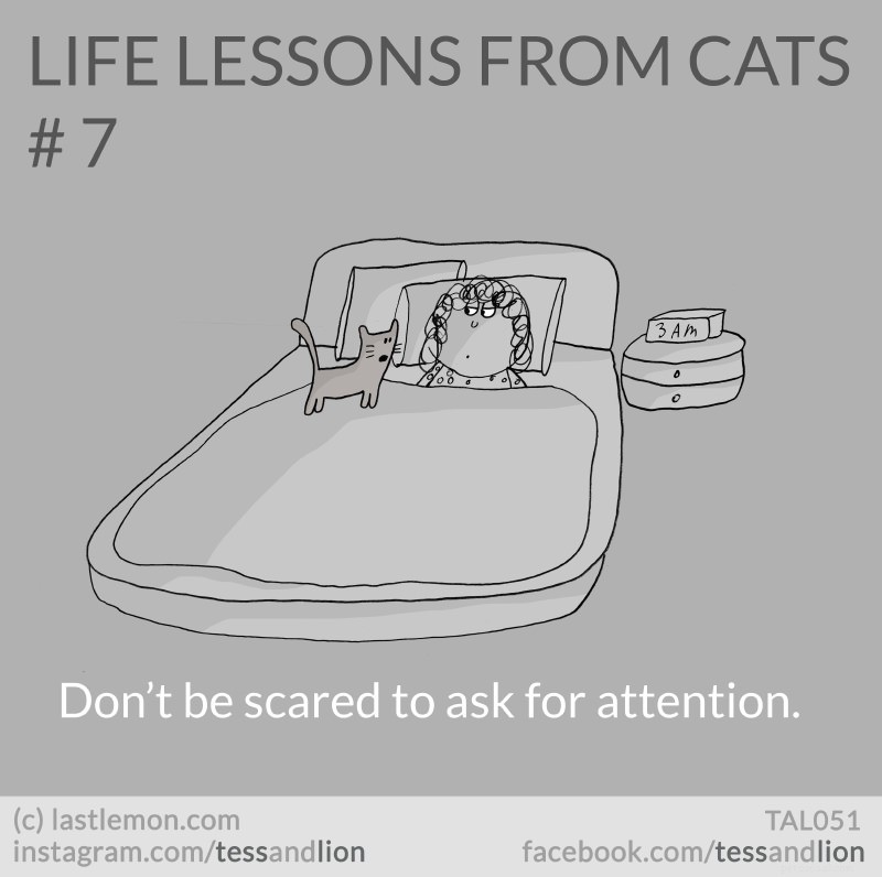 21 Endearing Cat-Inspired Life Lessons From NYT Bestsellers