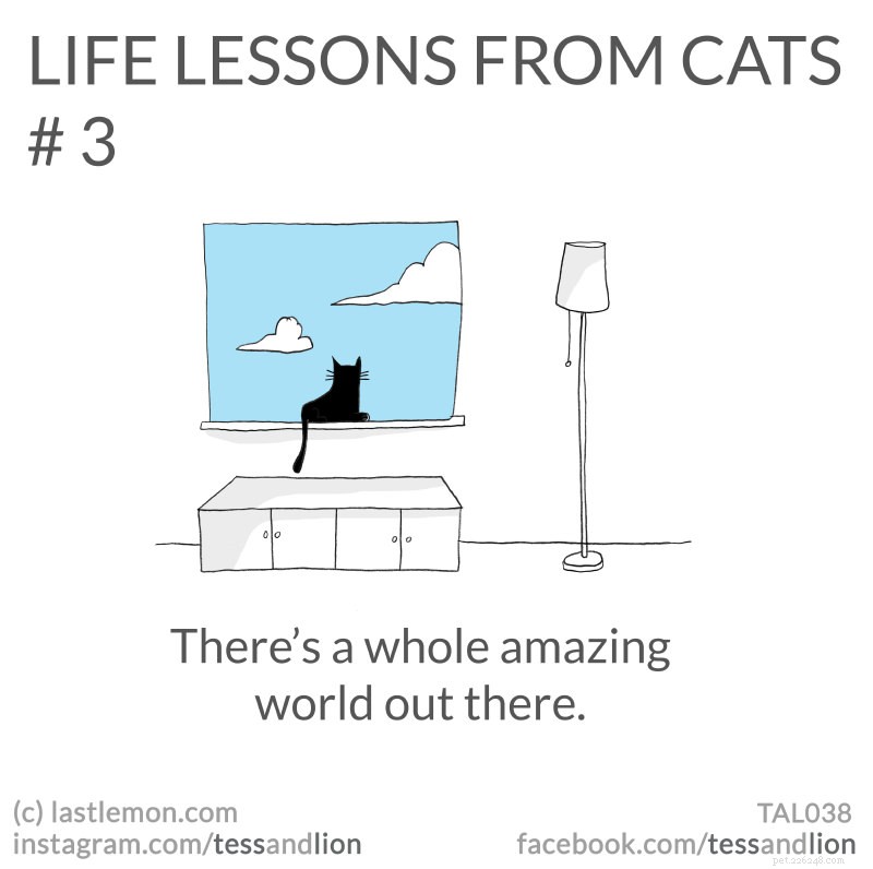 21 Endearing Cat-Inspired Life Lessons From NYT Bestsellers