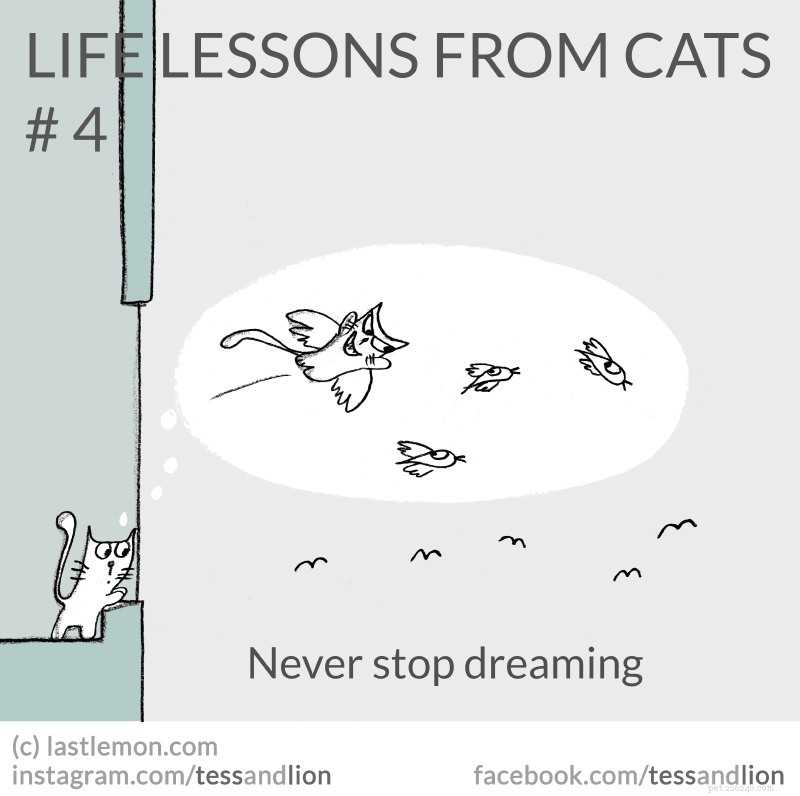 21 Endearing Cat-Inspired Life Lessons From NYT Bestsellers