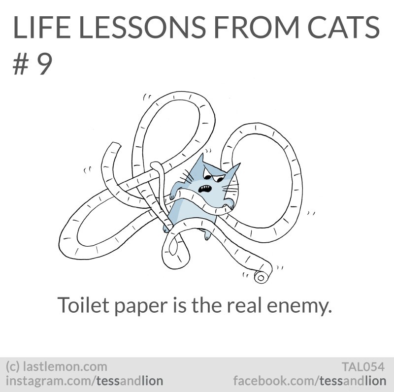 21 Endearing Cat-Inspired Life Lessons From NYT Bestsellers