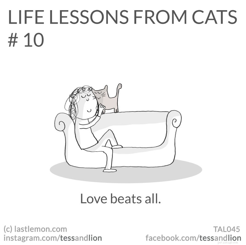21 Endearing Cat-Inspired Life Lessons From NYT Bestsellers