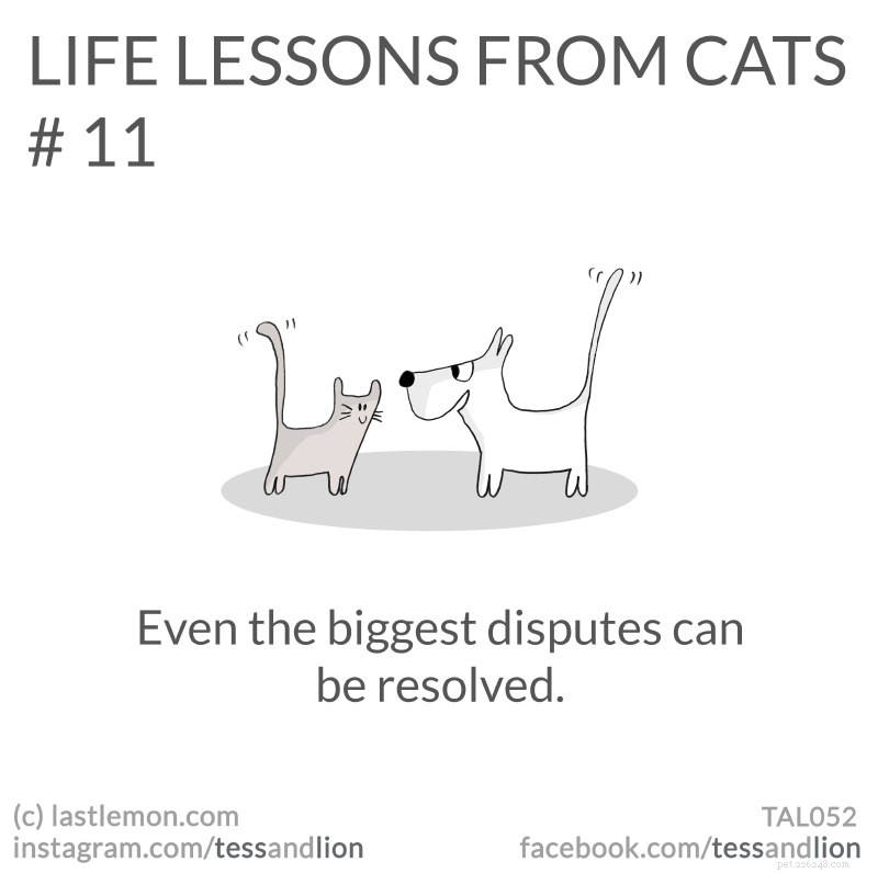 21 Endearing Cat-Inspired Life Lessons From NYT Bestsellers