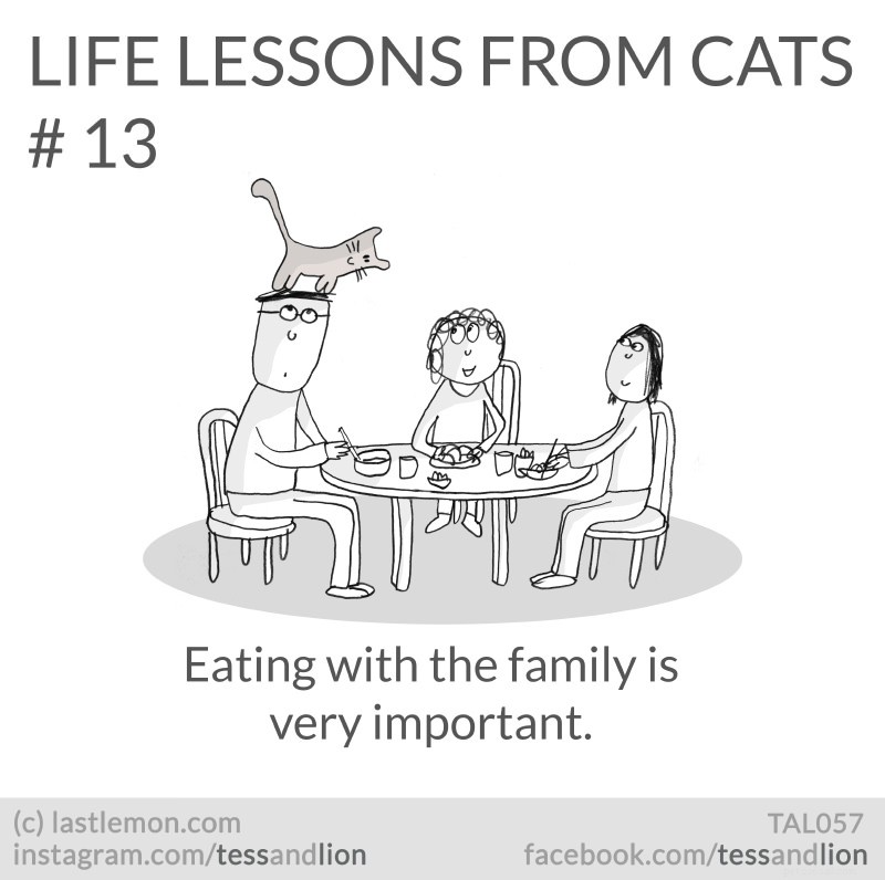 21 Endearing Cat-Inspired Life Lessons From NYT Bestsellers